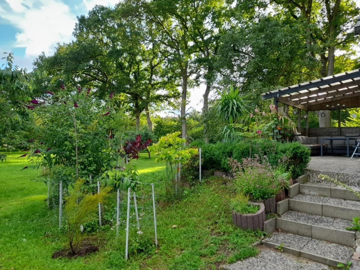 Haus Wald Und Wiese Wohnung Wald Ehndorf Luaran gambar